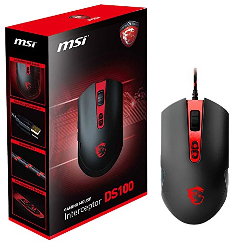 MSI Interceptor DS100