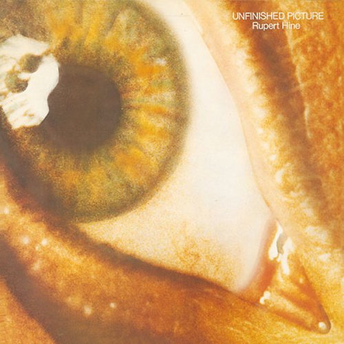 Preisvergleich Produktbild Unfinished Picture +1 [Ltd.Pap