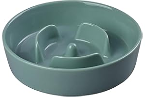 SPUNKYJUNKY Cuenco Anticabestrillo para Perros Cuenco Anticabestrillo de Cerámica Alimentación Lenta para Perros y Gatos (15,5 cm, Verde Oscuro)