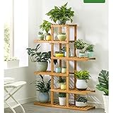 Der Schutz der begrenzten Waldressourcen auf dem Planeten, eines neuen Landschaftsprodukts, ist die eigentliche Maßnahme, die wir ergreifen, um die Umwelt zu schützen und die Natur zu schätzen.