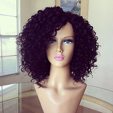OSY Glueless Full Lace Wig 100% Brazilian Human Hair Wig Kinky Curly 8-16inch Natural Color Virgin Hair , 10 inch , petite
