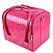 NEW Watermelon Pink Beauty Box Cosmetic Make Up Vanity Saloon Case