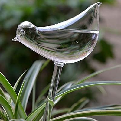 Sansee Arrosoir Automatique Forme D'Oiseau en Verre Dispositif D'Arrosage Plante IntéRieur Art DéCo Fleurs Jardin，Balcon (1)