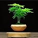 Produktbild LED Magnetische Suspension Topfpflanze Maglev Air Bonsai Angeschwungenen Blumentopf Holzmaserung Home Office Dekoration Geschenk