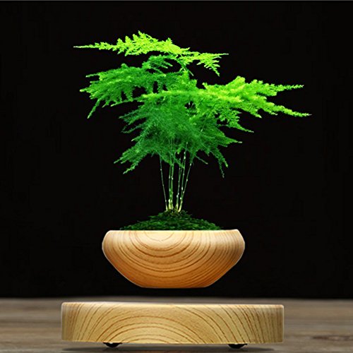 Preisvergleich Produktbild LED Magnetische Suspension Topfpflanze Maglev Air Bonsai Angeschwungenen Blumentopf Holzmaserung Home Office Dekoration Geschenk