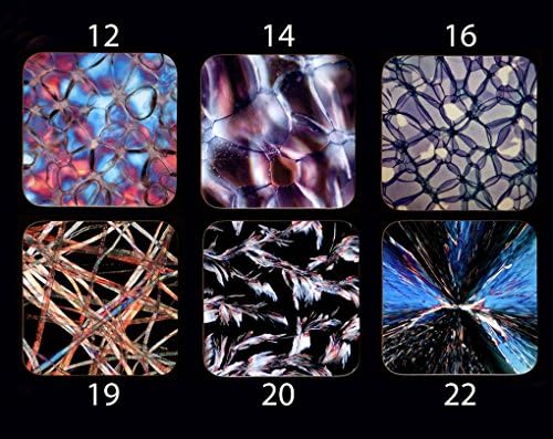 6 Science Coasters -your choice of 6 microscope photography coasters - great gift for teachers, scientists - Science gift