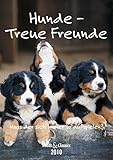 Hunde - T & C-Kalender 2010: Treue Freunde by