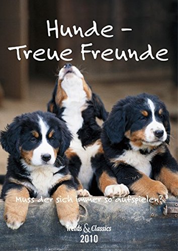 Hunde - T & C-Kalender 2010: Treue Freunde