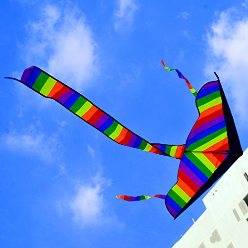 Foxom Rainbow Kite for Kids, Girls, Boys, Toddlers - Most Popular Outdoor Toys, Huge Kite with 50m/164 Feet Flying Line reviews Foxom Rainbow Kite for Kids, Girls, Boys, Toddlers - Most Popular Outdoor Toys, Huge Kite with 50m/164 Feet Flying Line