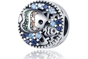 XWN Ciondolo Argento Sterling 925 con Cubic Zirconia Pendenti per Pandora Braccialetti, Compatibile con Braccialetti e Collane europei, perfetto Regali per Moglie e Ragazze X2