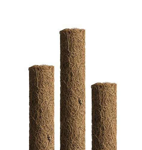 Windhager Pflanzstab Kokos, verlängerbar, 80 cm - 6