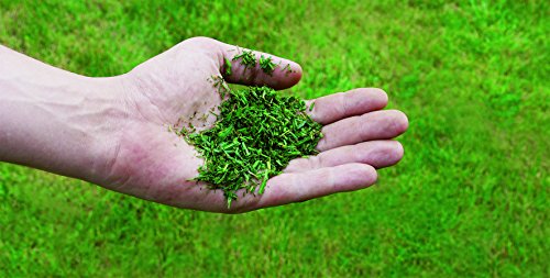 Einhell Benzin Rasenmäher GE-PM 48 S HW B&S (2 kW, 48 cm Schnittbreite, 75 l Fangsack, Hinterradantrieb, Mulchfunktion, Seitenauswurf, empfohlen bis 1600 m²) - 12