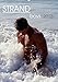 Strandboys 2018 (Wandkalender 2018 DIN A2 hoch): 12 knackige Jungs am Strand (Monatskalender, 14 Seiten ) (CALVENDO Menschen) [Kalender] [Apr 27, 2017] malestockphoto, k.A. by 