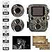 Produktbild TONGTONG Mini Wildlife Trail Camera Hunting Camera 12MP 1080P Digital Scouting Camera Waterproof Video Recorder Security Cameras