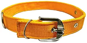 MUNCHOS 1.25 inchi Dog Collar for Large Dogs