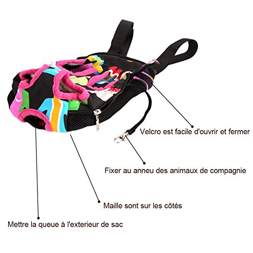 DAZONE-Back-Chest-Bag-Carrier-for-Cat-Puppy-French-Bulldog-Canvas