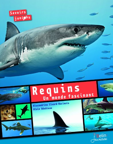 couverture de : Requins