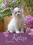 Liebste Katzen 2015 by 