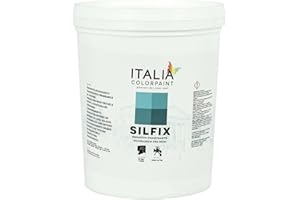 Italia colorpaint I Pre Trattamenti Silfix Primer Fissativo Traspirante Consolidante Silossanico ad Acqua Intonaci Friabili Ammalorati (Litri 1, Trasparente)