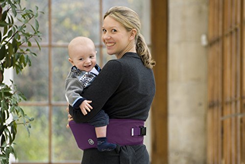 hippychick hipseat ebay