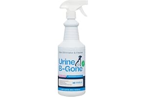 KINZUA ENVIRONMENTAL Urine B-Gone, Professional Enzyme Odor Eliminator & Pet Stain Remover, Human, Cat & Dog Urine Cleaner, Effective on Laundry, Carpets & More | Lavender Scent - 947ml (Pack of 1)