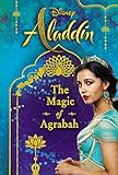 Disney Aladdin: The Magic of Agrabah (Replica Journal) by