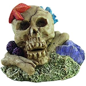 Haquoss Koral Skull 4, 8.5x 5.8x 6.5H cm