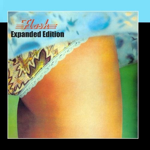 Preisvergleich Produktbild Flash (Expanded Edition)