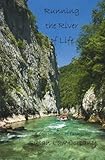 Image de Running the River of Life (English Edition)