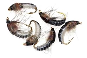 YMHAPP 6 Pcs Brown Realistic Nymph Scud Fly for Trout Fishing Artificial Insect Bait Lure Fishing Tackle Soft Plastic Lures Outdoor