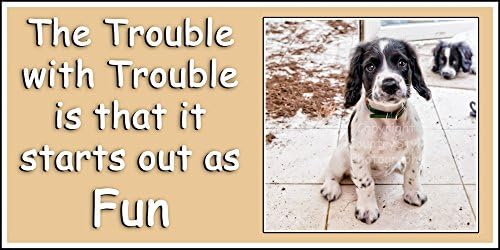 The Trouble with Trouble Fun magnetic sign / flexible fridge magnet featuring a naughty sorry spaniel. Perfect exclusive gift for dog lover.
