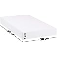 BPA®Large Styrofoam Blocks for Projects, 60 by 30cm (White, 5cm thick)