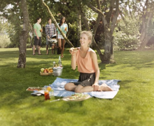 Outdoorchef CITY 420 G vanilla BBQ Gasgrill Kugelgrill 18.127.86 - 4