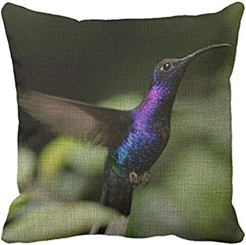 Richess Hummingbird 18 X 18 Throw Pillow Throws For Sofa