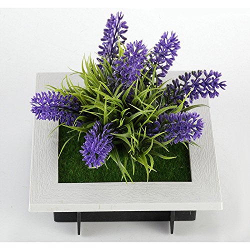 Sunnyshinee Colgante De Pared De Lavanda Con Marco De Plantas