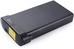HANERIDE E-Bike Pedelec Batterie de Remplacement 24V (25.9V) 8.8Ah 228Wh pour Batterie de Support arrière de vélo électrique Ansmann