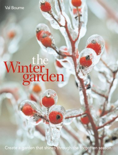 Book's Cover of The Winter Garden: Create a Garden that Shines Through the Forgotten Season