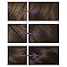 Clairol Nice'n Easy Non-Permanent Hair Dye No Amonia - Medium Ash Brown 77