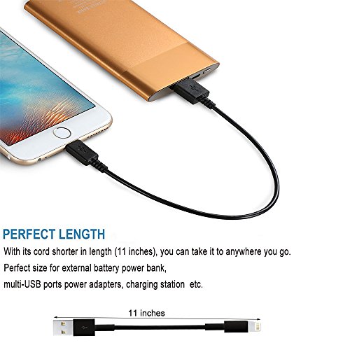 ERreach Schnittstellenkabel, 4 Stück, 27,9 cm, extrakurz, kein Verwickeln, USB-Kabel, USB-Ladekabel für iPhone, iPod, iPad und andere Apple-Geräte - 4