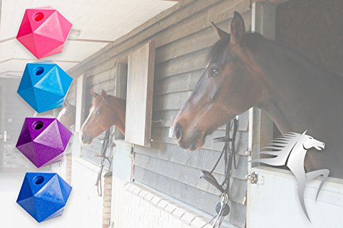 Horse-Treat-Ball-Purple-Glitter