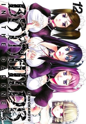 Brynhildr in the Darkness — Tome 12