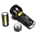 Xcellent Global 51 LED 395 nm Professional UV Ultraviolett Schwarzlicht Taschenlampe – Für Haustierurin , Falschgeld, Hotelzimmer Prüfung, Bettwanzen, Spot-Skorpione, Minerale, Undichtigkeiten PT008 - 2