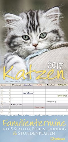 Katzen 2017 - Familientermine 5 Spalten, Katzenkalender - 23 x 45,5 cm