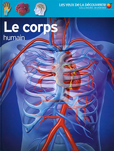 couverture de : Le corps humain