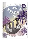 Collegetimer Not Today 2019/2020 - Faultier - Schülerkalender A5 (15 x 21) - Weekly - 224 Seiten - Terminplaner by 