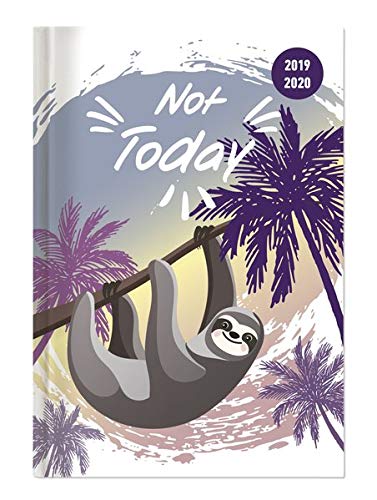 Collegetimer Not Today 2019/2020 - Faultier - Schülerkalender A5 (15 x 21) - Weekly - 224 Seiten - Terminplaner
