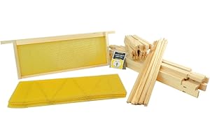 SIMON THE BEEKEEPER DN4 Brood Frame & Foundation 11 Pack