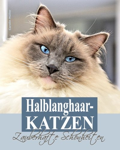 Download Halblanghaarkatzen: Zauberhafte Schönheiten