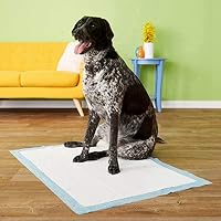 90x60cm 60pcs Dog Training Pads XL Size/Training Pee and Potty Pads with Quick Drying Surface and Absorbent Core…