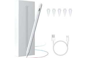 SZPACMATE Stylet pour Apple iPad Pro/Air (2018-2022), 5 Minutes pour Obtenir ce Entièrement Chargé, Possède des fonctionnalités en italique et en Gras, Rejet de la Paume et Fixation Magnétique